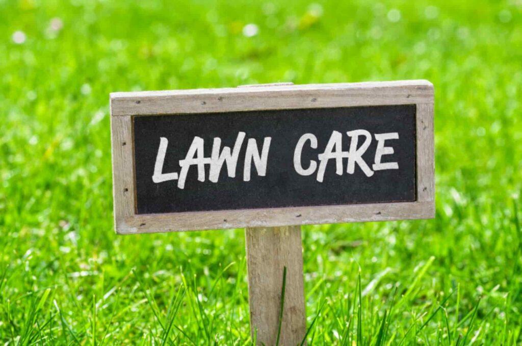 12 Lawn Care Tips and Tricks