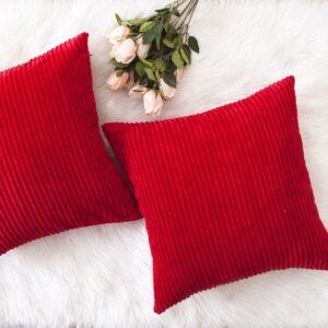 Plush and Cozy Throw Pillows